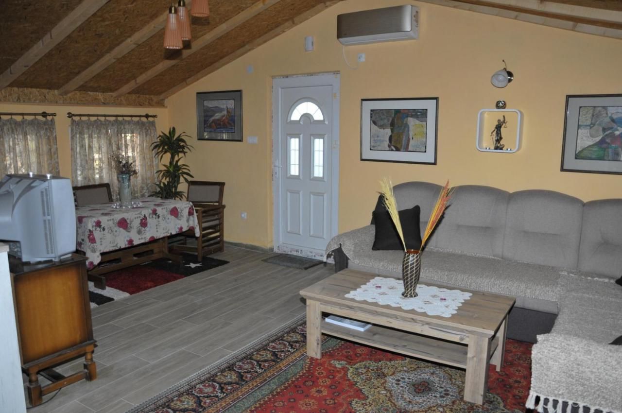 Апартаменты Luxury house BOZOVIC in heart of Podgorica Подгорица-15