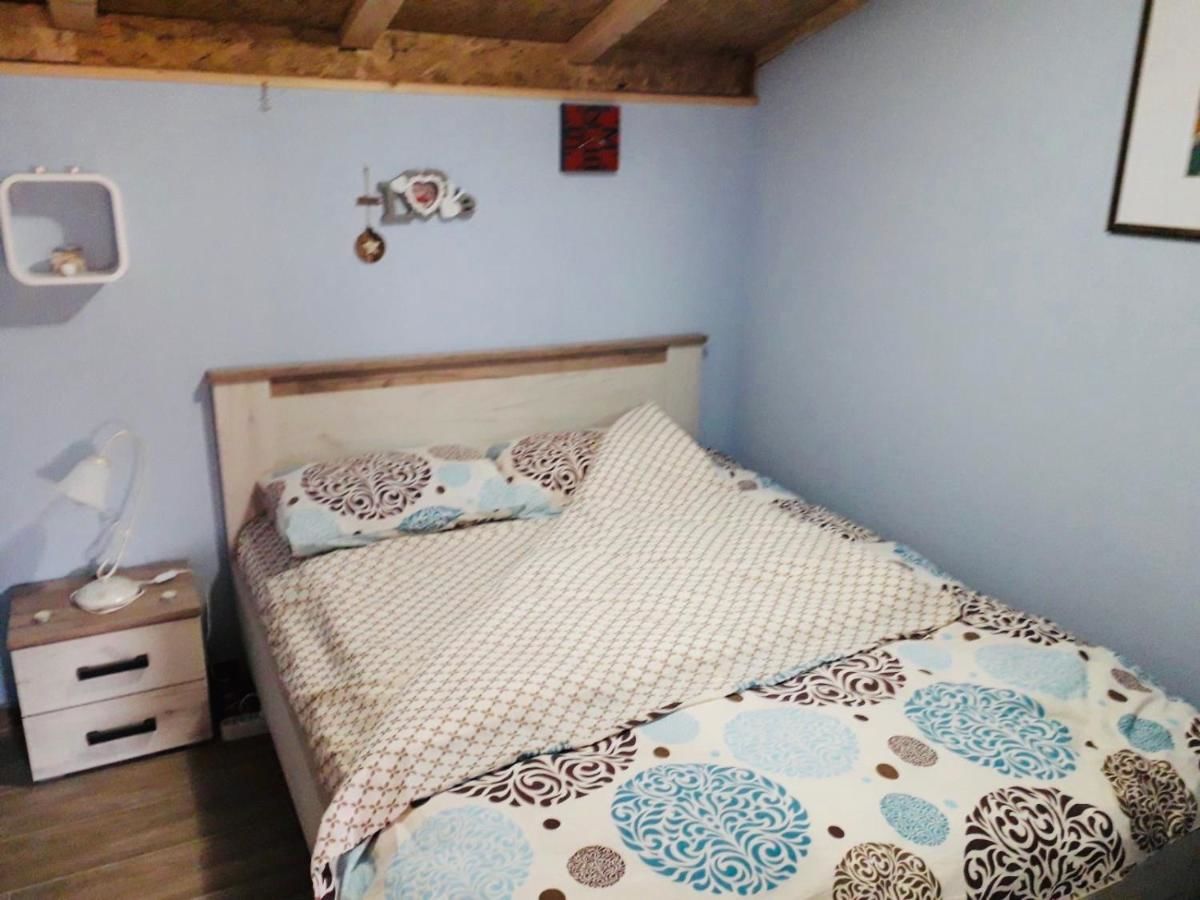 Апартаменты Luxury house BOZOVIC in heart of Podgorica Подгорица-6
