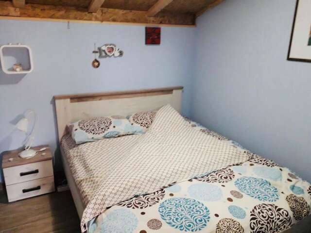 Апартаменты Luxury house BOZOVIC in heart of Podgorica Подгорица-5