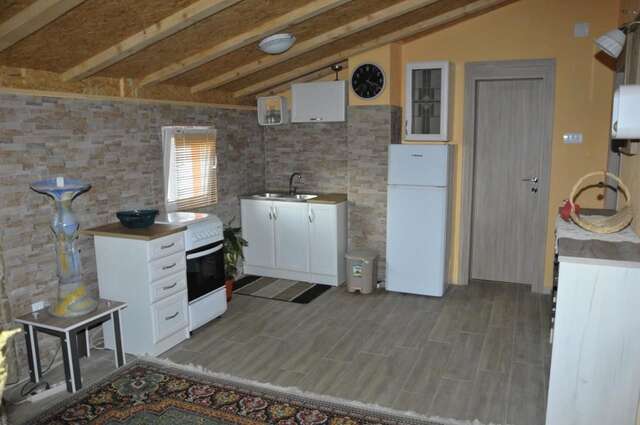 Апартаменты Luxury house BOZOVIC in heart of Podgorica Подгорица-11